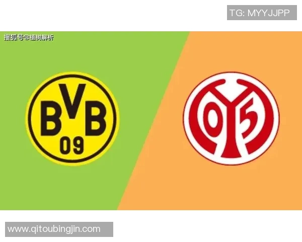 多特蒙德客场轻取美因茨，再添联赛胜利纪录